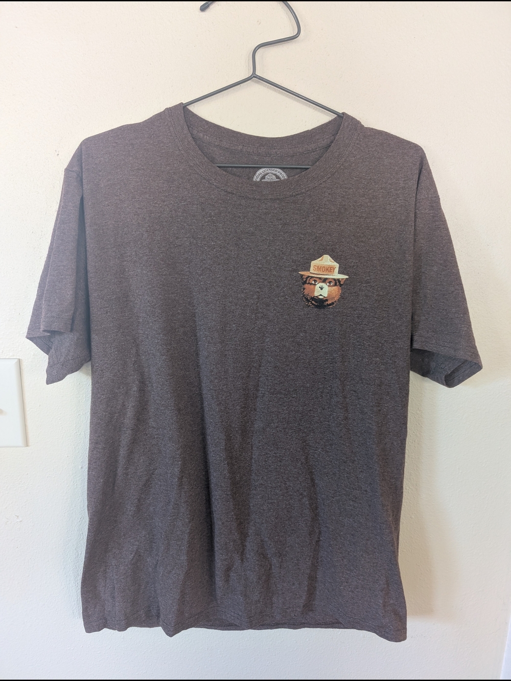 Brown Graphic Short-Sleeve Tee with Bear Patch